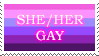 a stamp of the she/her gay flag with text on it that says 'she/her gay'. the text has a glowy pink outline.